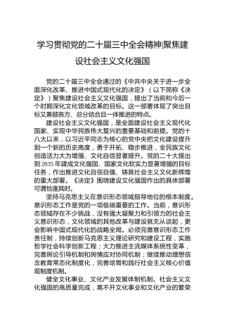 学习贯彻党的二十届三中全会精神聚焦建设社会主义文化强国