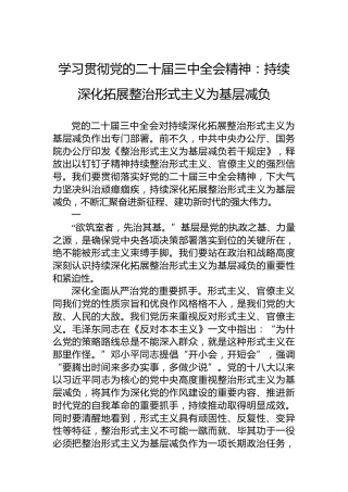 学习贯彻党的二十届三中全会精神：持续深化拓展整治形式主义为基层减负