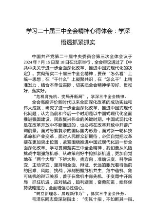 学习二十届三中全会精神心得体会：学深悟透抓紧抓实