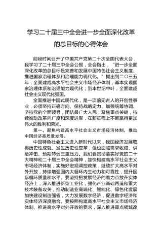 学习二十届三中全会进一步全面深化改革的总目标的心得体会