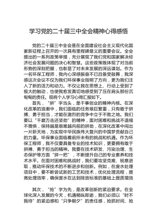 学习党的二十届三中全会精神心得感悟