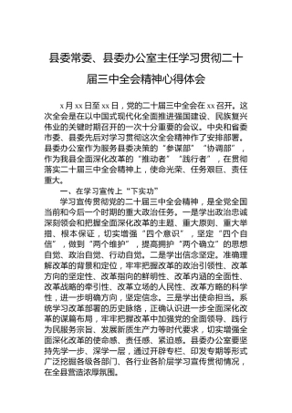 县委常委、县委办公室主任学习贯彻二十届三中全会精神心得体会