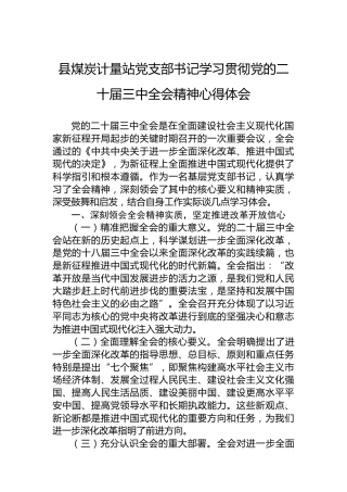 县煤炭计量站党支部书记学习贯彻党的二十届三中全会精神心得体会
