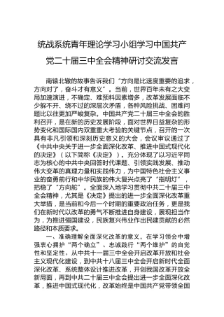 统战系统青年理论学习小组学习中国共产党二十届三中全会精神研讨交流发言