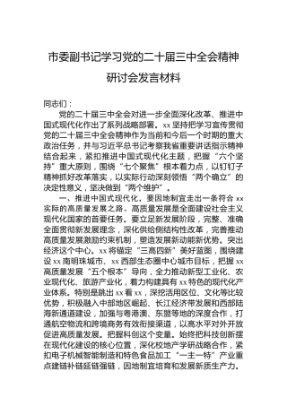 市委副书记学习党的二十届三中全会精神研讨会发言材料