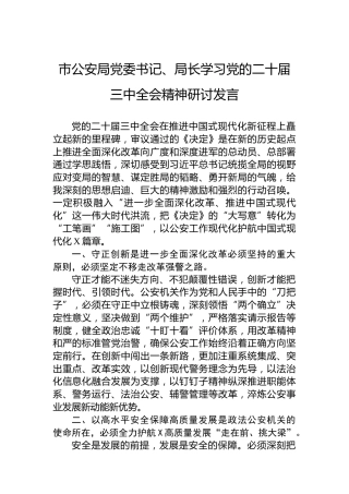 市公安局党委书记、局长学习党的二十届三中全会精神研讨发言