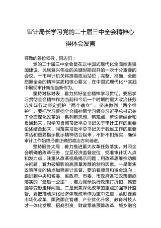 审计局长学习党的二十届三中全会精神心得体会发言