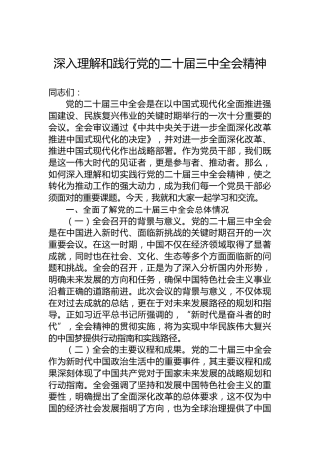 深入理解和践行党的二十届三中全会精神