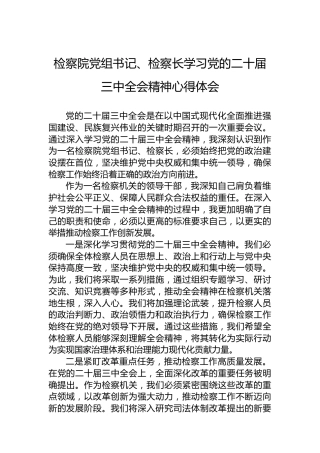 检察院党组书记、检察长学习党的二十届三中全会精神心得体会