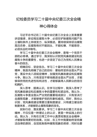 纪检委员学习二十届中央纪委三次全会精神心得体会
