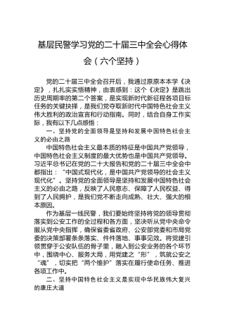 基层民警学习党的二十届三中全会心得体会（六个坚持）