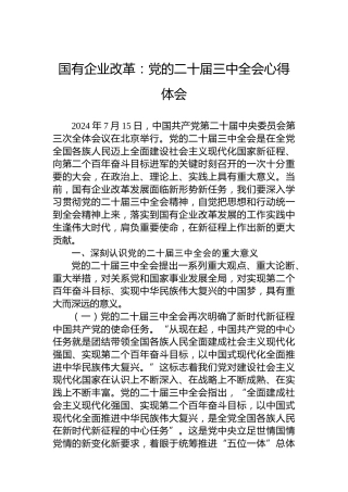 国有企业改革：党的二十届三中全会心得体会