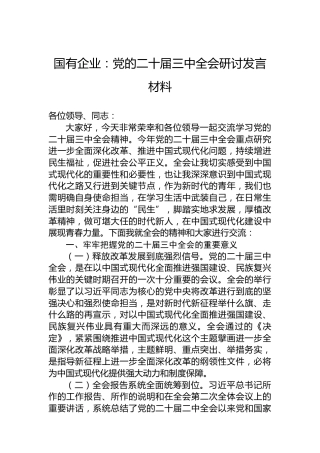 国有企业：党的二十届三中全会研讨发言材料