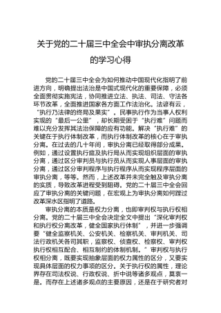 关于党的二十届三中全会中审执分离改革的学习心得