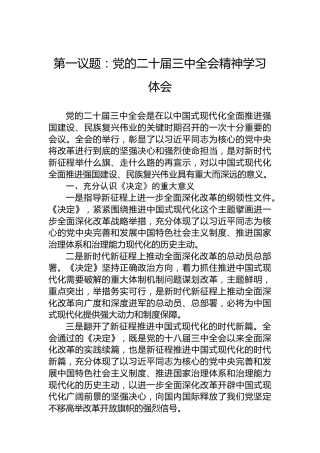 第一议题：党的二十届三中全会精神学习体会