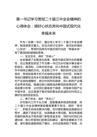 第一书记学习贯彻二十届三中全会精神的心得体会：调好心状态奔向中国式现代化幸福未来