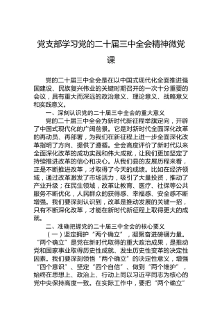 党支部学习党的二十届三中全会精神微党课