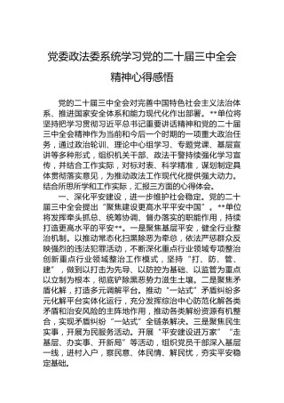 党委政法委系统学习党的二十届三中全会精神心得感悟
