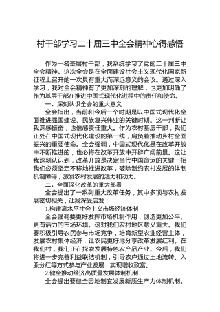 村干部学习二十届三中全会精神心得感悟