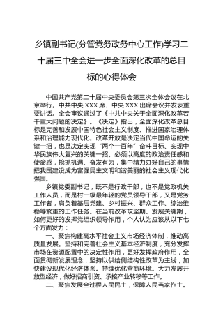 乡镇副书记(分管党务政务中心工作)学习二十届三中全会进一步全面深化改革的总目标的心得体会