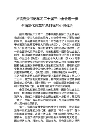 乡镇党委书记学习二十届三中全会进一步全面深化改革的总目标的心得体会