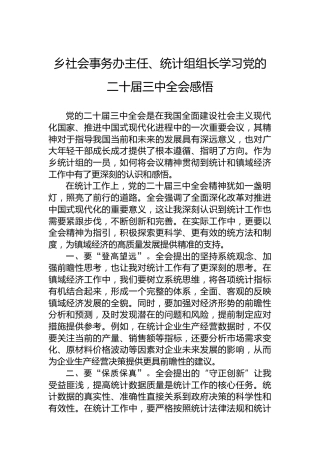 乡社会事务办主任、统计组组长学习党的二十届三中全会感悟