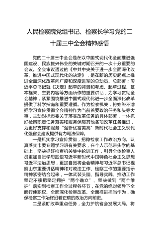 人民检察院党组书记、检察长学习党的二十届三中全会精神感悟