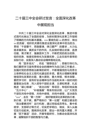 二十届三中全会研讨发言：全面深化改革中展现担当