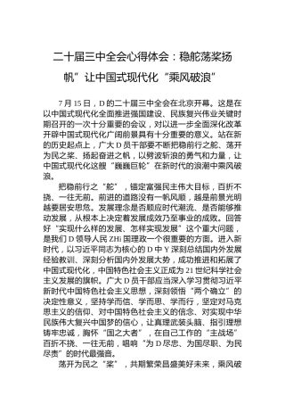 二十届三中全会心得体会：稳舵荡桨扬帆”让中国式现代化“乘风破浪”