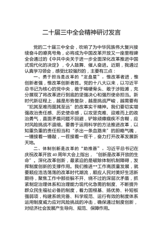 二十届三中全会精神研讨发言