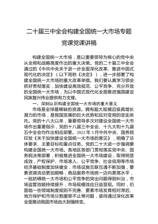二十届三中全会构建全国统一大市场专题党课党课讲稿