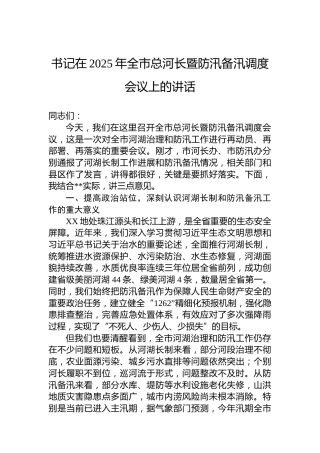 书记在2025年全市总河长暨防汛备汛调度会议上的讲话
