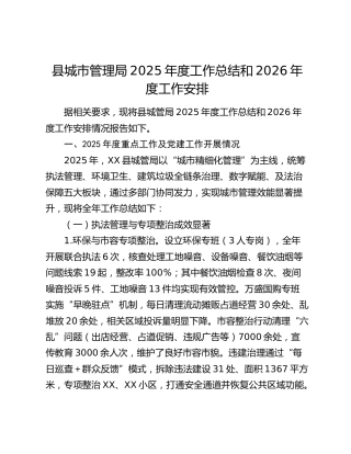 县城市管理局2025年度工作总结和2026年度工作安排