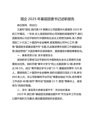 国企2025年基层团委书记述职报告