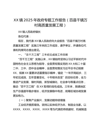 XX镇2025年政府专题工作报告
