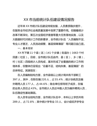XX市当前统计队伍建设情况报告