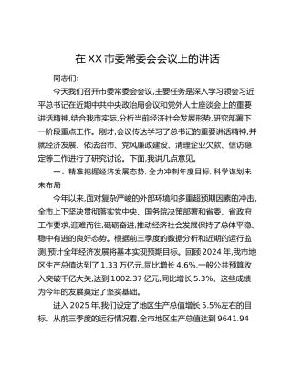 在XX市委常委会会议上的讲话（2）