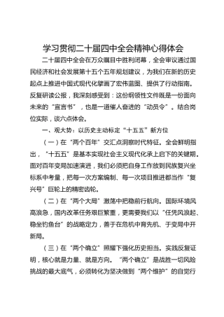 学习贯彻二十届四中全会精神心得体会