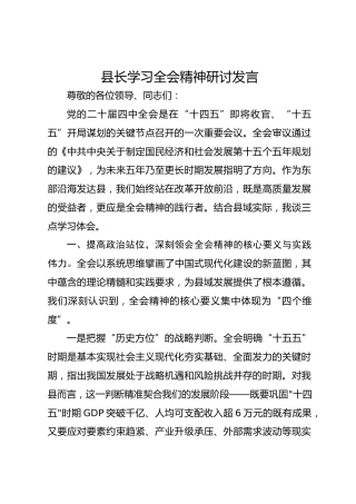 县长学习四中全会精神研讨发言