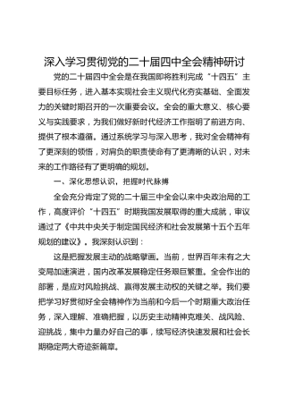 深入学习贯彻党的二十届四中全会精神研讨
