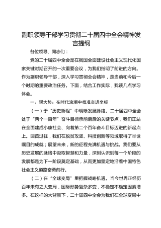 副职领导干部学习贯彻二十届四中全会精神发言提纲