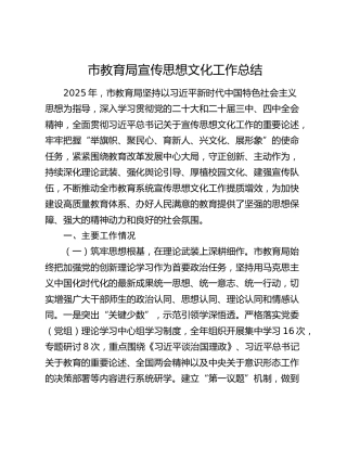 市教育局宣传思想文化工作总结
