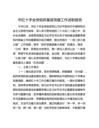 市红十字会党组抓基层党建工作述职报告（总结）