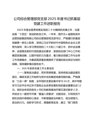 国企综合管理部党支部书记抓党建工作述职报告