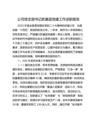国企2025年党支部书记抓党建工作述职报告3000字