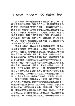 纪检监察工作要善用“全严稳笃治”策略