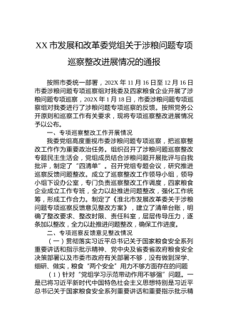 XX市发展和改革委党组关于涉粮问题专项巡察整改进展情况的通报