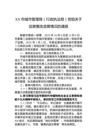XX市城市管理局（行政执法局）党组关于巡察整改进展情况的通报