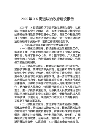 2025年XX街道法治政府建设报告