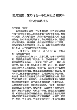 交流发言：在知行合一中砥砺担当在实干笃行中淬炼成长